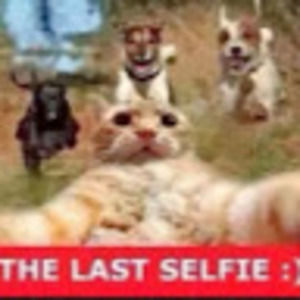 Meet your Posher, Kasandra